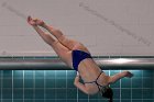 Women's Diving  Wheaton College Women’s Diving vs Mount Holyoke College. - Photo by Keith Nordstrom : Wheaton, Swimming & Diving
